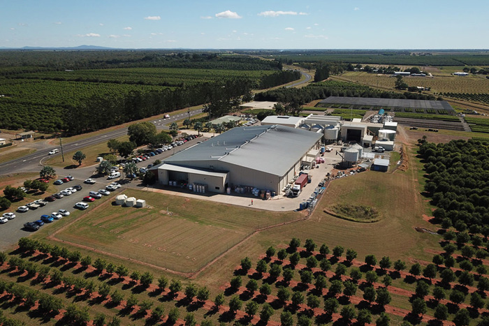 Marquis Macadamia Bundaberg